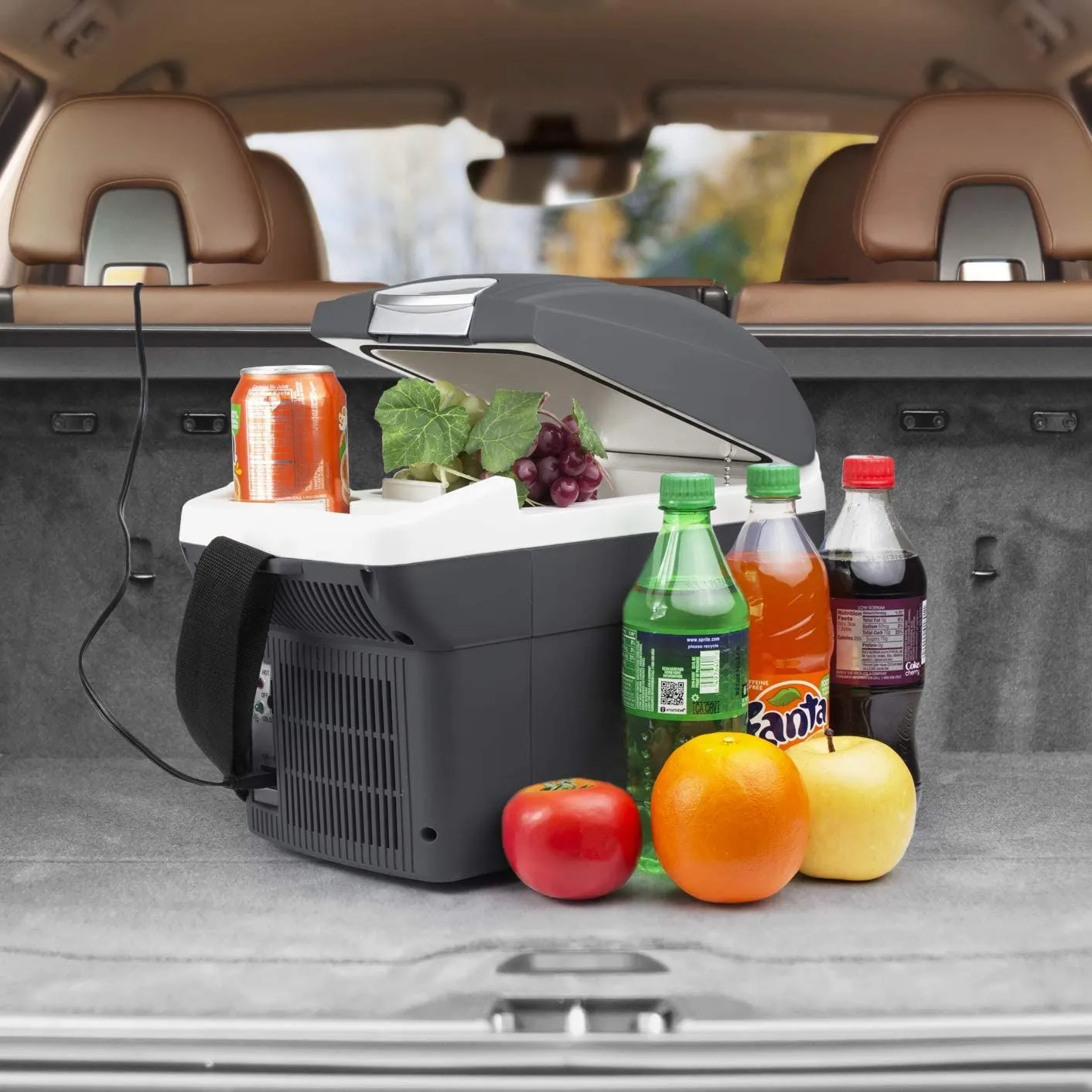 12V Thermo-electric 6L Cooler